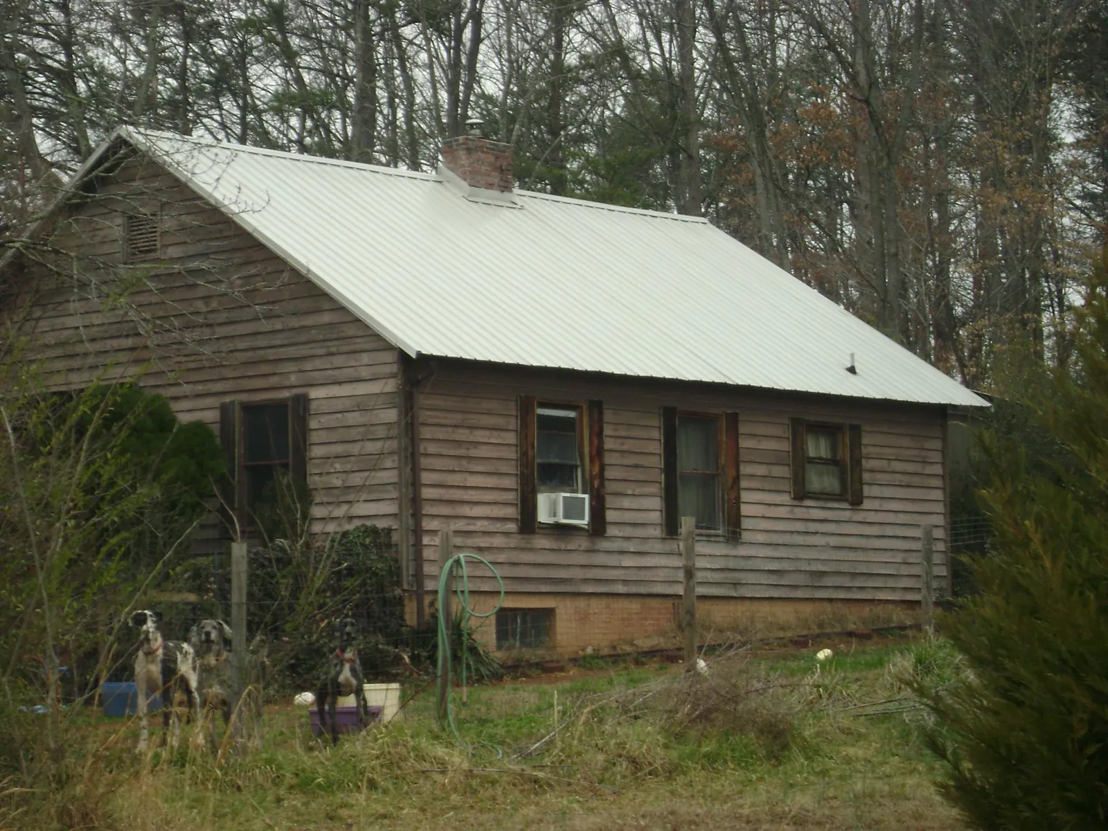White metal roof on an old wood sided farmhouse, from a Metal Roof Installation job in Great Falls